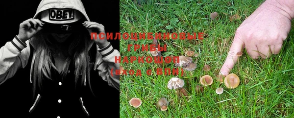 прущая мука Михайловка